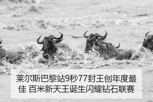 lai-er-si-ba-li-zhan-miao-feng-wang-chuang-nian-du-zui-jia-bai-mi-xin-tian-wang-dan-sheng-shan-yao-zuan-shi-lian-sai-2-925.jpg
